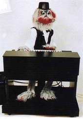 Chirpy the Piano Playing Talking Robot