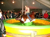 Mechanical Bull Simulator