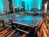 Ping Pong Tables