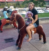 Mechanical Pony Rides