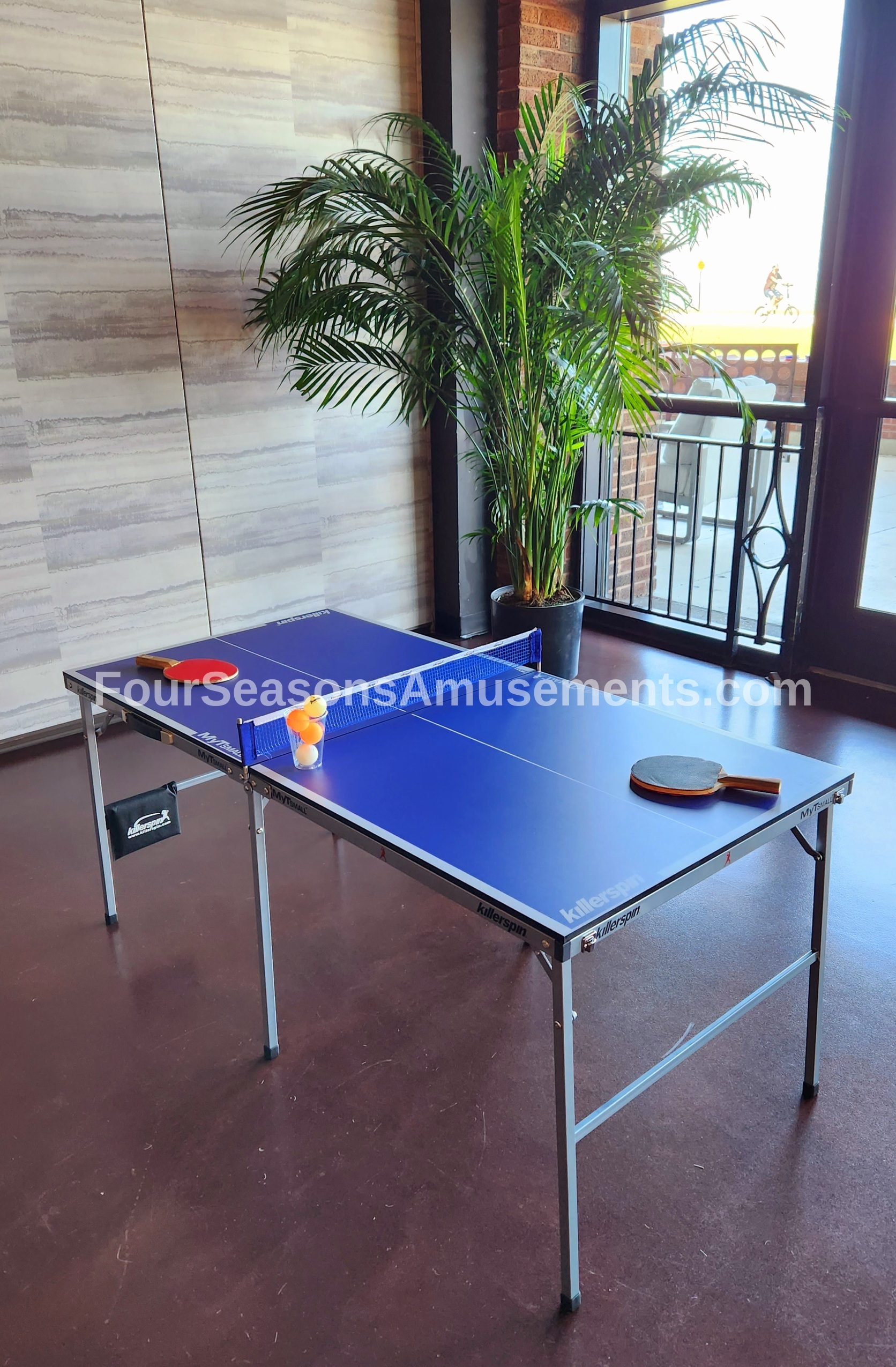 Mini Ping Pong Tables