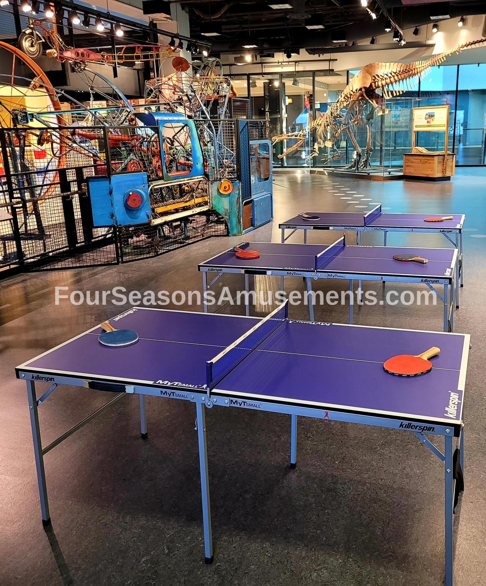 Mini Ping Pong Tables